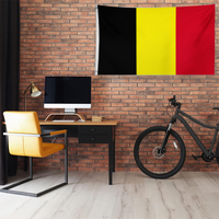 Drapeau de la Belgique 3x5 pieds - Drapeau national belge Runesol avec 2 œillets en laiton, polyester haute résistance (60x90cm)
