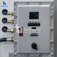 Four de séchage sous vide antidéflagrant en acier inoxydable à chauffage électrique Laboao avec affichage LCD et contrôle PID à double colonne