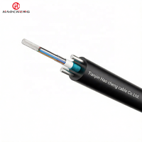 Câble à fibres optiques GYXTW 2/4/6/8 cœurs monomode G652D, tube lâche non métallique, gaine PE, FTTH pour installation aérienne longue portée