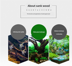 Bois flotté naturel pour aquarium, décoration moderne d'aquarium Reptile cacher des branches de bois, ornements aquatiques de décoration intérieure pour le salon - Product Image 5