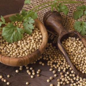 Graines de coriandre entières, épices naturelles, Orissa DALAI IMPEX, pour la cuisine et l'assaisonnement - Product Image 2