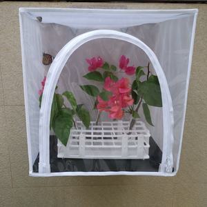 Praical Solid Pattern Weißer Zucht käfig für Reptilien im Freien Atmungsaktiv mit Reiß verschluss - Product Image 2