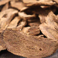 Saussurea Lappa - Prix abordable, excellente qualité. Produit de qualité supérieure. Article le plus vendu sur le marché.