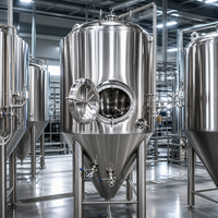 Cuve de fermentation en acier inoxydable Tonsen 2000L, unité de fermentation 20HL pour microbrasserie