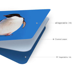 Nouveau-né Stimulation visuelle cerveau développement sensoriel contraste élevé noir blanc coloré bébé Flashcards bébé Flashcard ensemble - Product Image 5