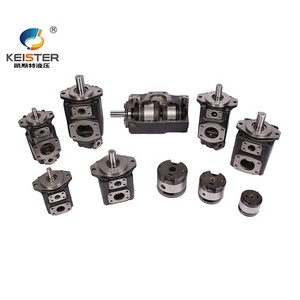 Garantie incluse, kit série T6, personnalisable, OEM, double ou triple pompe pour utilisation industrielle avec pompe rotative - Product Image 3