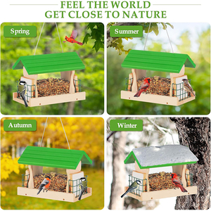 WDF nouvelle tendance vente chaude Mangeoire Pour Les Oiseaux oiseau Pigeon perroquet mangeoires en plein air mangeoires pour oiseaux - Product Image 5