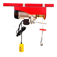 Nouvelle vente chaude Mini palan électrique 1 tonne PA Câble métallique Grue de levage 220V Télécommande