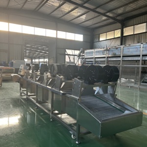 Khoai Tây chôm chôm gai lê máy giặt + trái cây sấy không khí dòng - Product Image 3