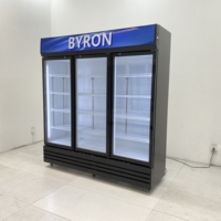 Réfrigérateur commercial vertical pour boissons, avec porte vitrée, pour supermarché et restaurant, pour la présentation de bouteilles de bière