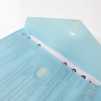 Carpeta de Archivo con Clip Tamaño A4, Cinta Mágica, Opaca, Fabricada en Material PP Resistente con Impresión Digital para Uso Escolar