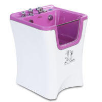 Baignoire transparente Dpbathe à finition haute brillance pour salon de beauté pour animaux de luxe en acrylique