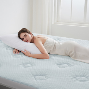 Protège-matelas matelassé en polyester respirant de luxe, drap-housse pliable toutes saisons, lavable en machine, pour hôpital - Product Image 1