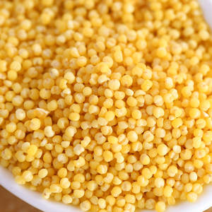 来自东北地区的有机金小米，进口健康谷物 - Product Image 2