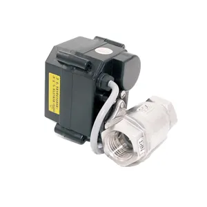 CWX-15N 2 yollu pirinç ss304 mini elektrikli motorlu solenoid valf su sulama için 5 v 3.6 v 12 v 24 v 110 v 220 v DN15 DN20