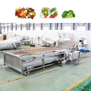 Ligne de lavage et de tri industrielle à ultrasons pour tomates cerises, légumes, fruits et citrons, avec fonctions de lavage, tri et cirage - Product Image 4