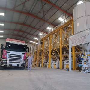 Moulin à <span class=keywords><strong>farine</strong></span> de maïs 150TPD <span class=keywords><strong>semi</strong></span>-automatique pour une production quotidienne économe en main-d'œuvre, vente en gros et approvisionnement en vrac - Product Image 1