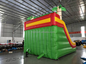 Tobogán de agua inflable para exteriores, <span class=keywords><strong>casa</strong></span> de rebote de PVC resistente, para escalada, para pared, piscina contra salpicaduras - Product Image 5