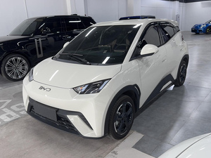 Byd <span class=keywords><strong>auto</strong></span> elettrica Byd gabbiano 405 km Automobile usata sicura comoda cina di seconda mano elettrica a buon mercato <span class=keywords><strong>auto</strong></span> cinesi - Product Image 2