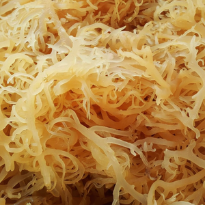 NOUVELLES SAISONNES MOUSSE DE MER/MOUSSE IRLANDAISE OR NATUREL DU VIETNAM AVEC MOQ BAS/ Mme Lucinda - Product Image 1