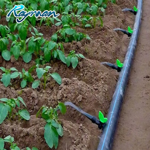 Tuyau d'irrigation de <span class=keywords><strong>jardin</strong></span> paysager HDPE 16mm 20mm 32mm 63mm 75mm 90mm 110mm PE100 tuyau en plastique HDPE à eau noire - Product Image 4