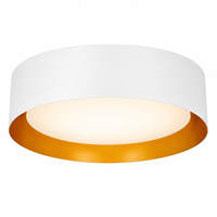 Plafonnier LED moderne Worbest 15 pouces, CCT changeable, certifié ETL/cETL, pour salon et chambre, CRI 80, construction en acier et plastique