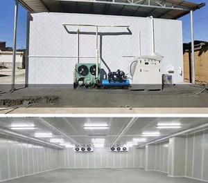 Offre Spéciale mini congélateur solaire pour chambre froide Chambre Froide Food Freezer Room container 20 pieds Cold Storage Chiller Room à vendre - Product Image 6