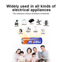 PKCELL AA/AAA No.5 No.7 1.5V LR6 Pilas Alcalinas Aa pile alcaline pour jouet 1.5v sec Aa batterie alcaline