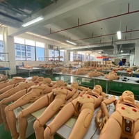 Simulateur d'examen de prostate d'équipement éducatif de Medica pour l'enseignement