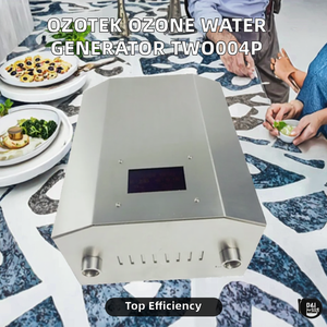 Concentrateur d'oxygène <span class=keywords><strong>PSA</strong></span> commercial intégré, générateur d'ozone pour l'eau TWO004P pour usage domestique - Product Image 2