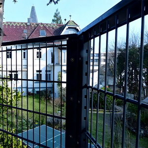 גדר רשת כפולה מצופה אבקה, תוצרת מפעל ISO CE, דגם 868 656, עם חוטים כפולים מחוזקים, מתאימה לשדות תעופה ורכבות. - Product Image 1