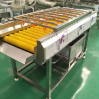 Palmdats Verwerkingslijn Jujube Verwerkingsmachine Datum Reinigingslijn Fabriek Fabrikant
