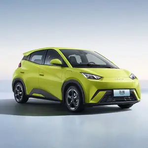 Personalizado 2024 Nuevo modelo Pure Electric Small Car 305Km Usado New Energy Vehicle