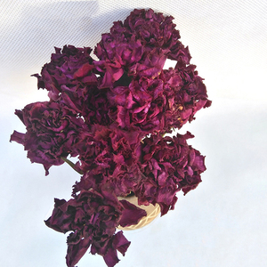 Otras flores y plantas decorativas Venta al por mayor Decoración de la boda Flores secas Prensadas Clavel seco natural real - Product Image 6