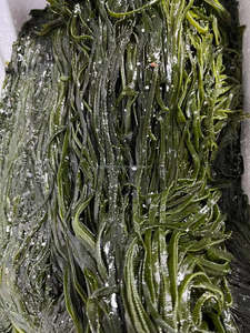 สาหร่ายปรุงรสแบบอินทรีย์แบบไม่มีทราย2-3มม. - Product Image 6