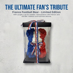 Boîte cadeau ours en fleurs artificielles France, roses bleues, blanches et rouges, ours en peluche pour les fans de football, souvenir en gros - Product Image 4