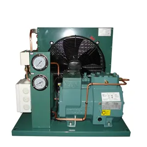 Unidade de condensação R404A/R507A de alta qualidade, refrigerada a ar e refrigerada a água, tipo compressor, unidade de condensação para armazenamento em câmaras frigoríficas