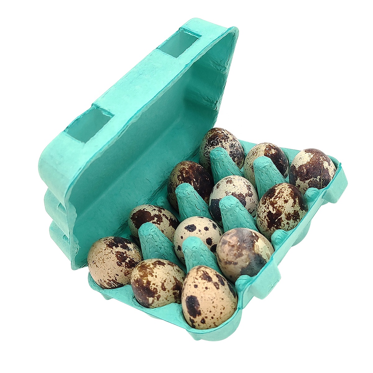 Paper Pulp Quail Egg Carton Manufacturers China Customized Products