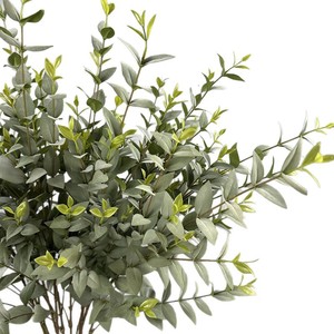 YOPIN-6063 Ramo di Eucalipto a 9 Forcelle Verde Grigio con <span class=keywords><strong>Foglie</strong></span> Appuntite Speciali e Stelo Marrone per Composizioni Floreali Nuziali - Product Image 6