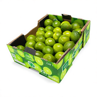 Carton d'expédition ventilé pour citrons et oranges, empilable, haute résistance, 5 kg, en carton ondulé, avec poignée