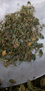 <span class=keywords><strong>Zi</strong></span> Hua <span class=keywords><strong>Di</strong></span> Ding, plantes entières séchées brutes de Viola Philippica, non extraites, violet à fleurs violettes pour herbe médicinale - Product Image 6