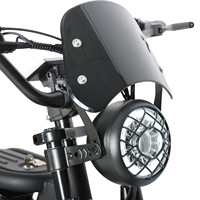 Vélo électrique à pneus larges de 20 pouces, moteur 60V 2000W, autonomie de 90-100 km, fabricant d'usine, Kayo Dirt Bike DM01 Dirt Bike E Bike