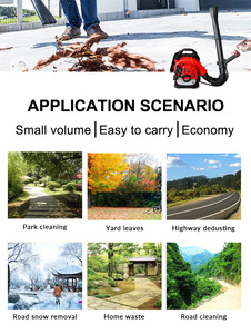 Souffleur à dos robuste pour feuilles, moteur essence 75,6 cm³, balayeuse à haut débit d'air - Product Image 5