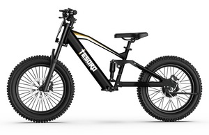 TESORO Lianmei Vélo Tout-Terrain Électrique Sans Balais pour Ados et Enfants, 18 et 20 Pouces, 36V 350W - Product Image 6