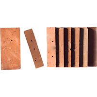 Revêtements muraux en briques rouges fines / Carreaux de briques découpés pour murs décoratifs (Restaurant, SPA, Café)