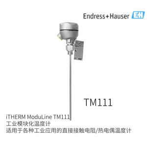 Thermomètre modulaire industriel EndressHauser iTHERM ModuLine TM151, type pression, résolution 0,1°C, origine Japon - Product Image 4