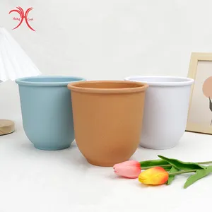 Giardinaggio domestico vasi per piante succulente forniture da giardino vaso di fiori per vasi da fiori