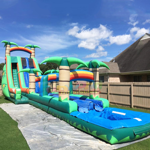 Tobogán acuático inflable gigante, casa de juegos inflable para fiestas, tobogán acuático tropical inflable con piscina para adultos - Product Image 2