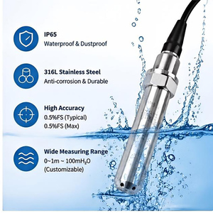 Capteur de niveau d'eau submersible haute stabilité 4-20mA, étanche, avec sonde en acier inoxydable - Product Image 2