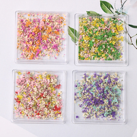 JIASI JS-XGH Mini Boîte d'autocollants pour nail art avec fleurs séchées naturelles 3D colorées mélangées